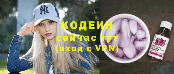 дживик Слюдянка