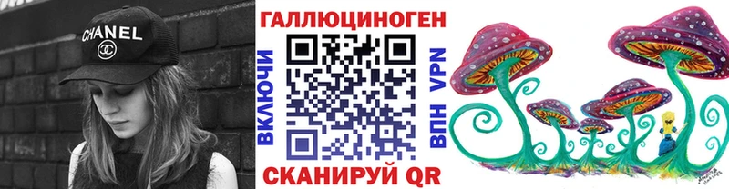 Псилоцибиновые грибы Psilocybe  блэк спрут ссылка  Курильск 